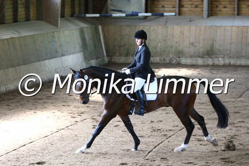 006M6613_Dressurpferde A.JPG